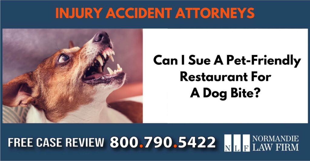 Can I Sue A Pet-Friendly Restaurant For A Dog Bite sue liable incident compensation lawyer attorney