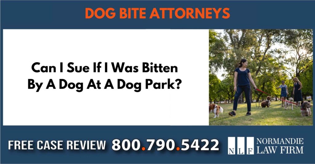 Can I Sue If I Was Bitten By A Dog At A Dog Park sue liable incident compensation lawsuit