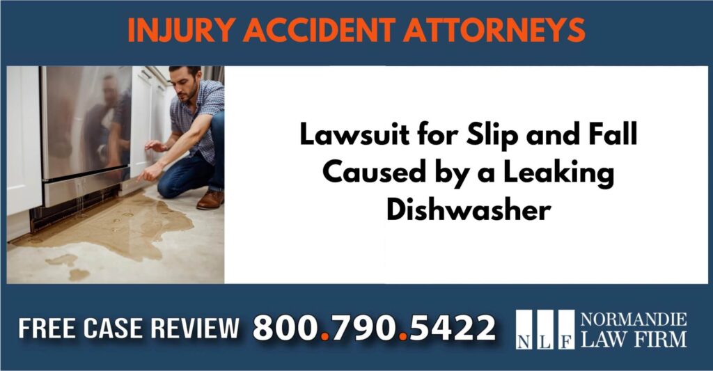 Lawsuit for Slip and Fall Caused by a Leaking Dishwasher - Landlord Liability sue liable incident compensation