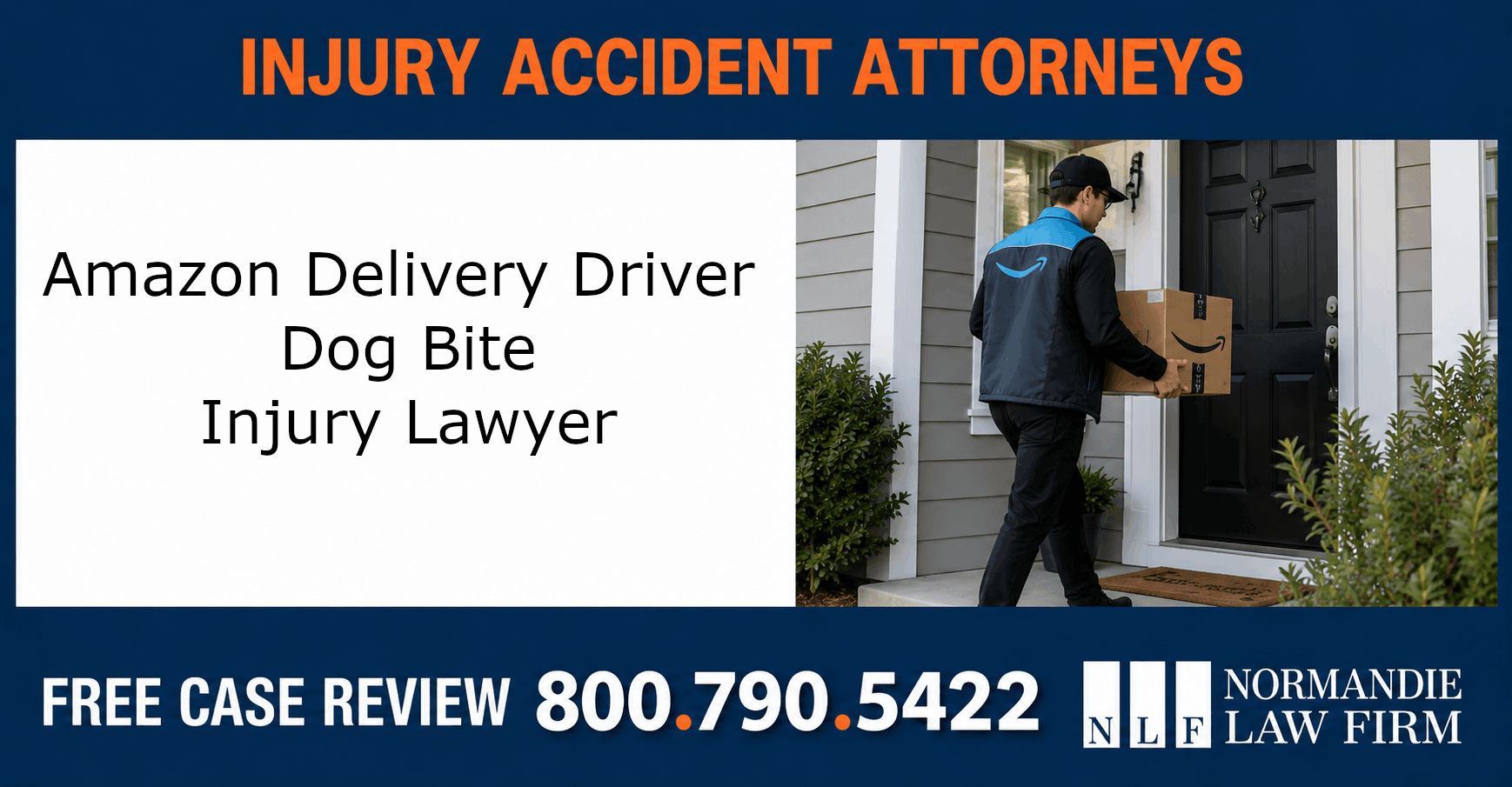 amazon delivery driver dog bite injury lawyers